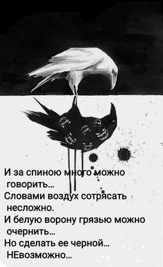   - 29  2025  22:11