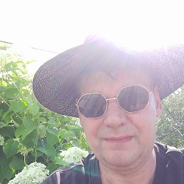, 54, 