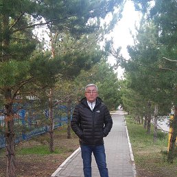 , 61, 