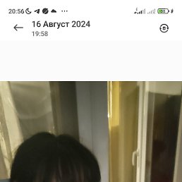, 54, 