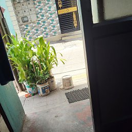 Shiva Ramachandra, �����������, 25 ���