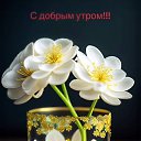 ���� ����, ��������, 57 ��� - ��������� 7 ���� 2024 � ������ ���� ����������