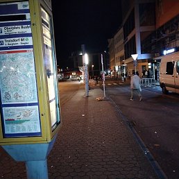 Seed, �����������, 37 ���