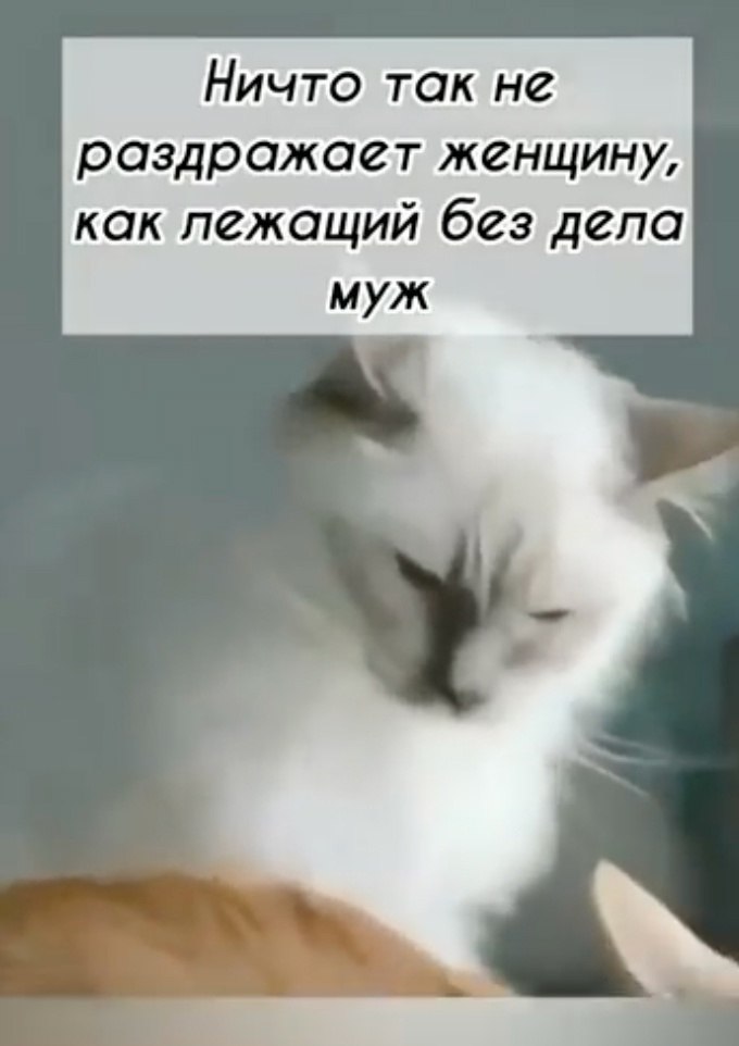    - 2