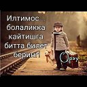 ���� Sarvar Zokirov, �����, 28 ��� - ��������� 22 ����� 2024