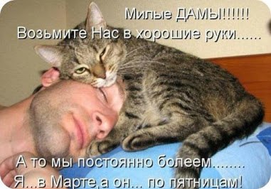 ������ *** - 16 ������ 2026 � 08:59