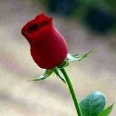 ���� ����, ������ - ��������� 15 ������� 2023 � ������ �������