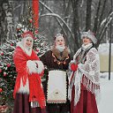 ���� ������ ����, ������, 49 ��� - ��������� 12 ������ 2026 � ������ ������ ��������