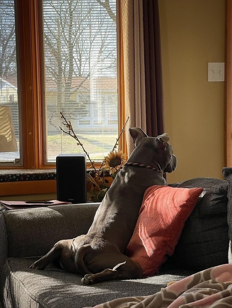  -      ,   .    , ... - 3