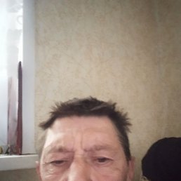 , 52 ,  