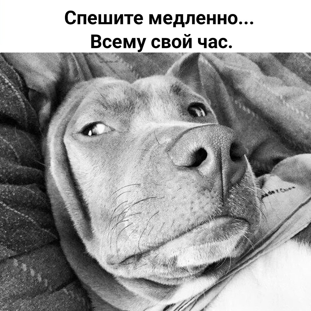 �������� ������� - 3 ������ 2026 � 10:06