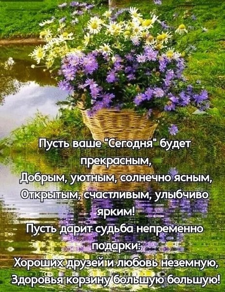  - 25  2024  07:29