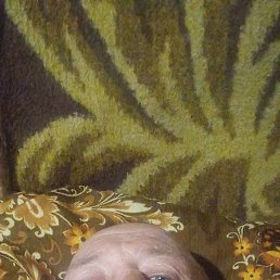 �������, 46 ���, ������