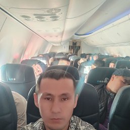 , 33, 