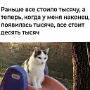 ���� ���������, ������, 48 ��� - ��������� 23 ���� 2026 � ������ ������ ��������