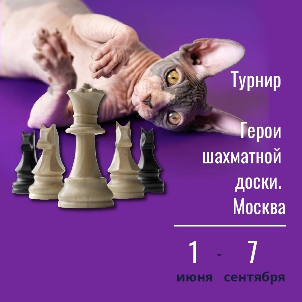     .          ... - 7