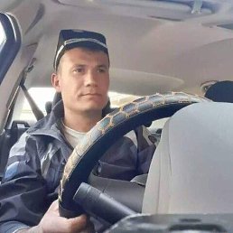, 37,  