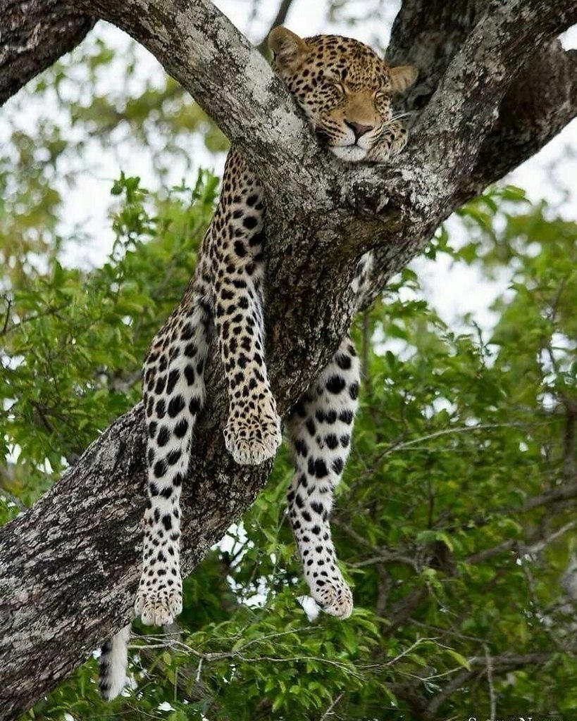     ,    .       ... - 4