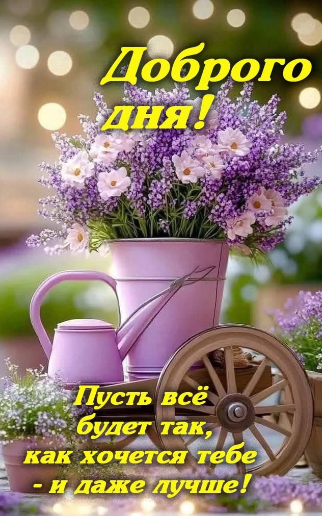 ***Victoria Viktorovna*** - 30  2025  05:08