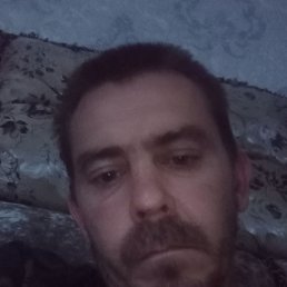 , 41, 