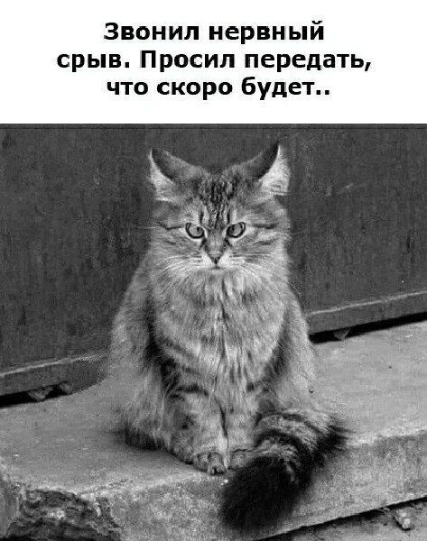 ***Victoria Viktorovna*** - 14  2023  05:47