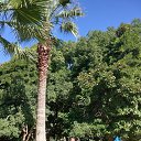  Austin,  -  26  2024    