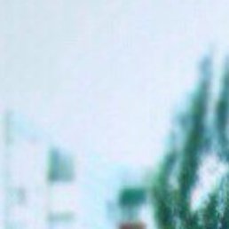 �������, �������, 36 ���