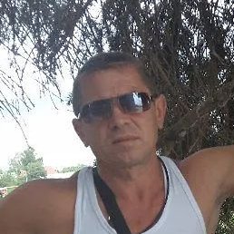 ����, ���������, 55 ���