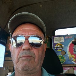 , 61, 