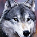 ���� �������, ���������, 54 ���� - ��������� 26 ������� 2023 � ������ ���� ����������