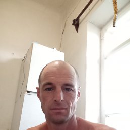 , 40, 