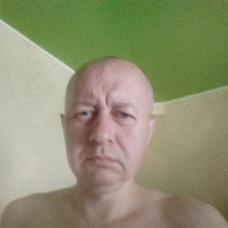 , 41, 