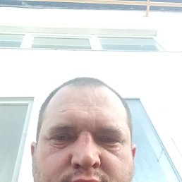 , 38, 