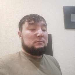 �����, 41 ���, ������-���