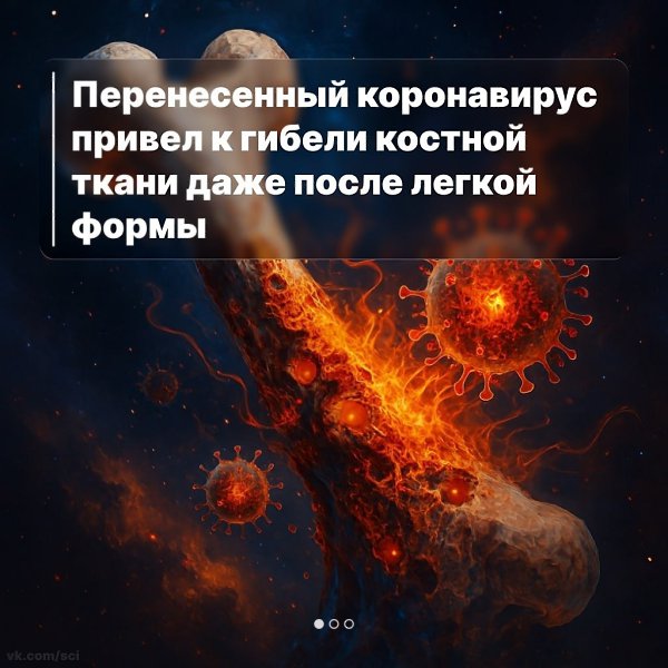  |  |   5 - 19  2025  15:11