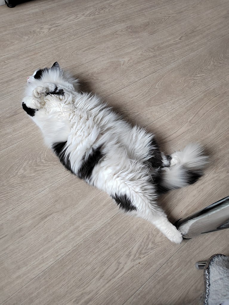   -    => - 5
