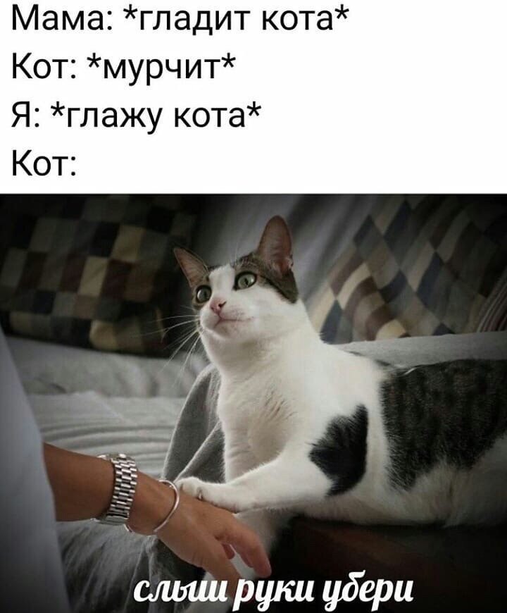    - 29  2023  23:42