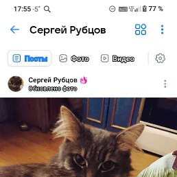 ���� ������, ������, 36 ��� - ��������� 12 ������ 2026