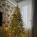 ���� ������ ��������, ������, 66 ��� - ��������� 6 ������ 2025 � ������ ���� ����������