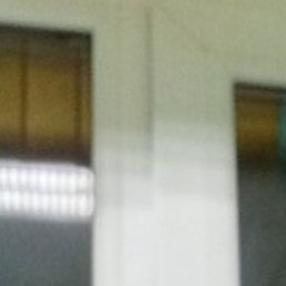 �.�., �������, 45 ���