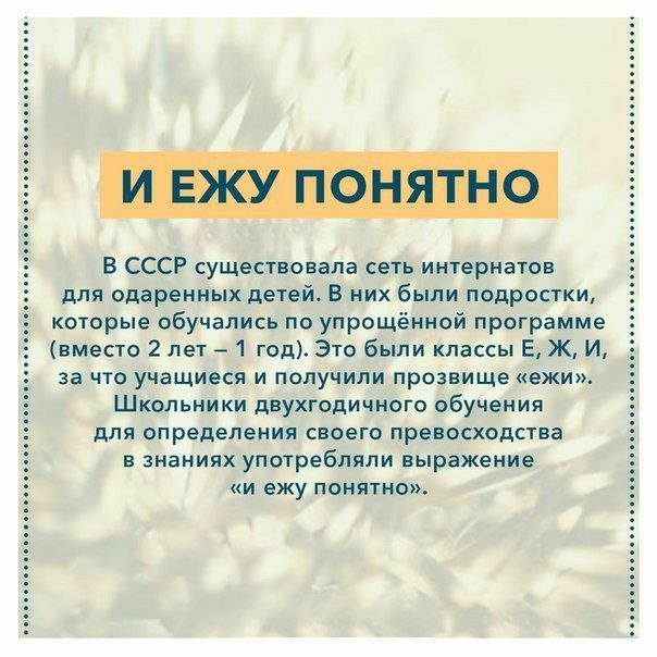������������� ���� - 7 ����� 2026 � 23:07