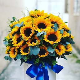 Larysa, �����