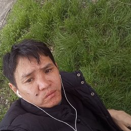 , 37, 