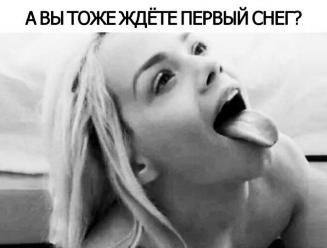 ����� - 14 ������ 2025 � 16:52
