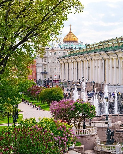 Цветение в Александровском саду и на Манежной площади.Фото: kobektas - 5