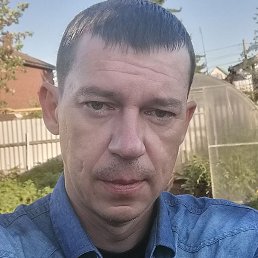 ������, ���������, 46 ���