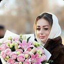 ���� ����, ���������, 44 ���� - ��������� 24 ����� 2026