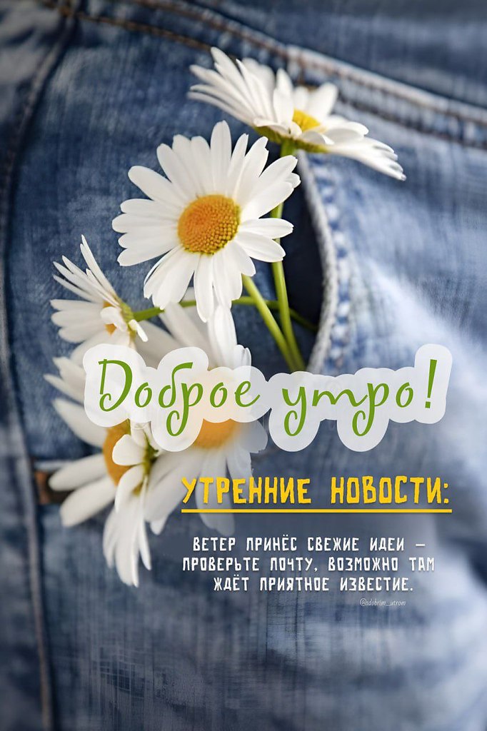   ,    . - 15  2025  07:52