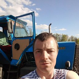 ����, 39 ���, ������