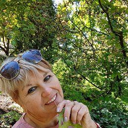 ���� �����, ������-��-����, 56 ��� - ��������� 6 ������ 2026